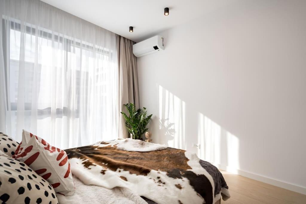 Tribal 1br In Aviatiei * Bucureşti